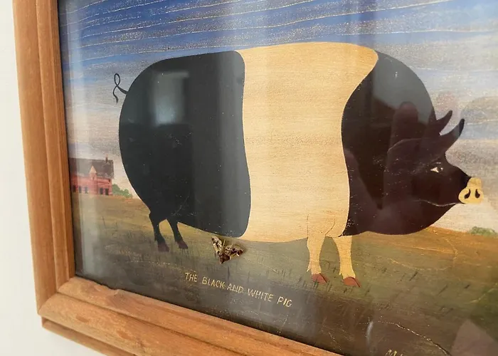 Rose Hébergement de vacances